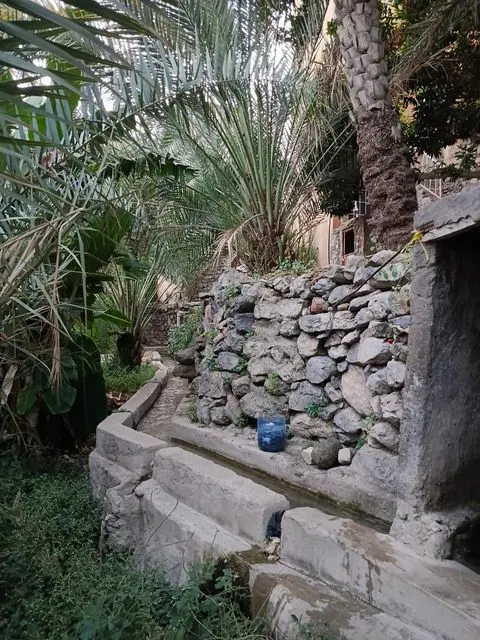 Palmiers et habitat traditionnel dans un paysage aride.