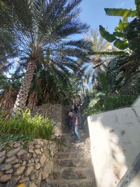Palmiers et habitat traditionnel dans un paysage aride, avec des personnes visibles.