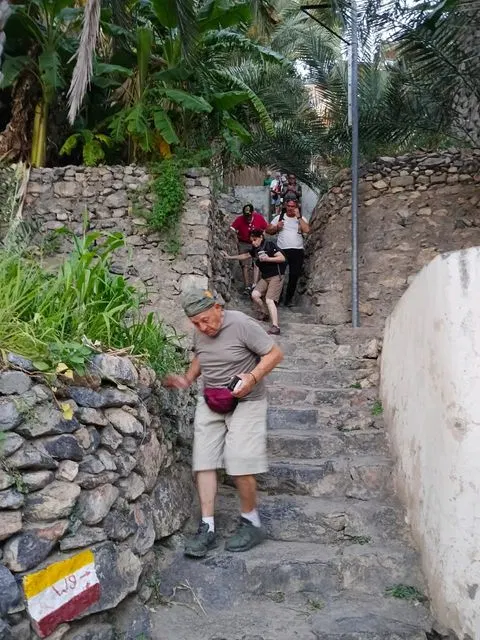 Palmiers et habitat traditionnel dans un paysage aride, avec des personnes visibles.