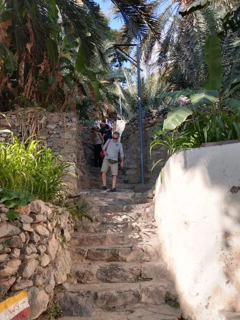 Palmiers et habitat traditionnel dans un paysage aride, avec des personnes visibles.