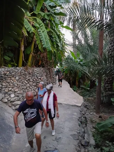 Palmiers et habitat traditionnel dans un paysage aride, avec des personnes visibles.