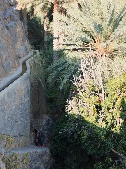 Palmiers et habitat traditionnel dans un paysage aride.