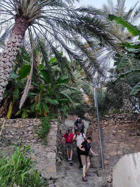 Palmiers et habitat traditionnel dans un paysage aride, avec des personnes visibles.