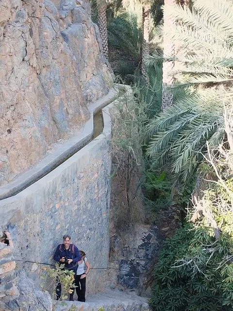 Palmiers et habitat traditionnel dans un paysage aride.