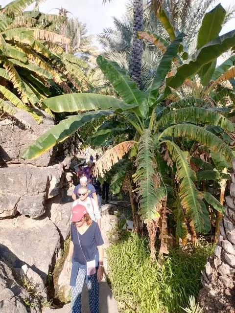 Palmiers et habitat traditionnel dans un paysage aride, avec des personnes visibles.