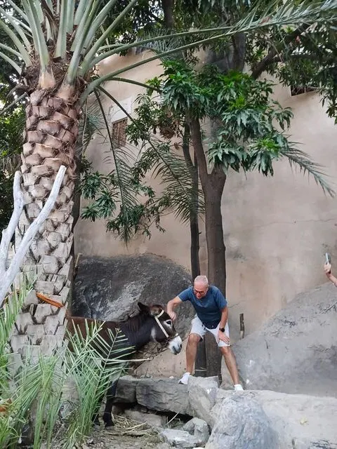Palmiers et habitat traditionnel dans un paysage aride, avec des personnes visibles.
