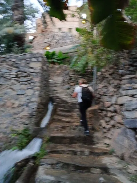 Palmiers et habitat traditionnel dans un paysage aride, avec des personnes visibles.