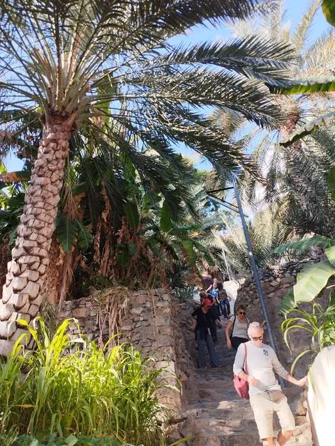 Palmiers et habitat traditionnel dans un paysage aride, avec des personnes visibles.