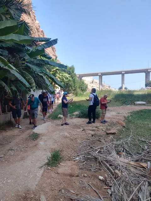Palmiers et habitat traditionnel dans un paysage aride, avec des personnes visibles.