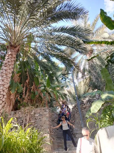 Palmiers et habitat traditionnel dans un paysage aride, avec des personnes visibles.