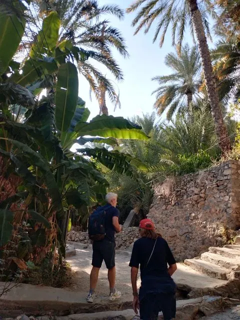 Palmiers et habitat traditionnel dans un paysage aride, avec des personnes visibles.