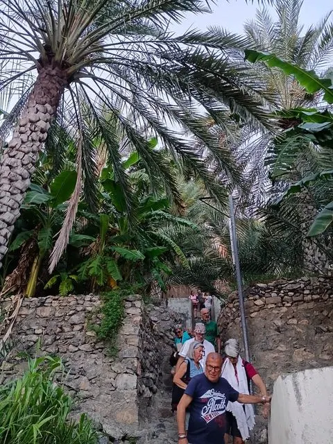 Palmiers et habitat traditionnel dans un paysage aride, avec des personnes visibles.