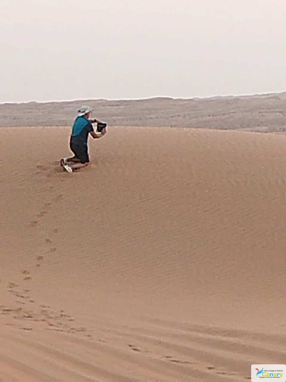 Relief de dunes dans un vaste paysage désertique, avec des personnes visibles.