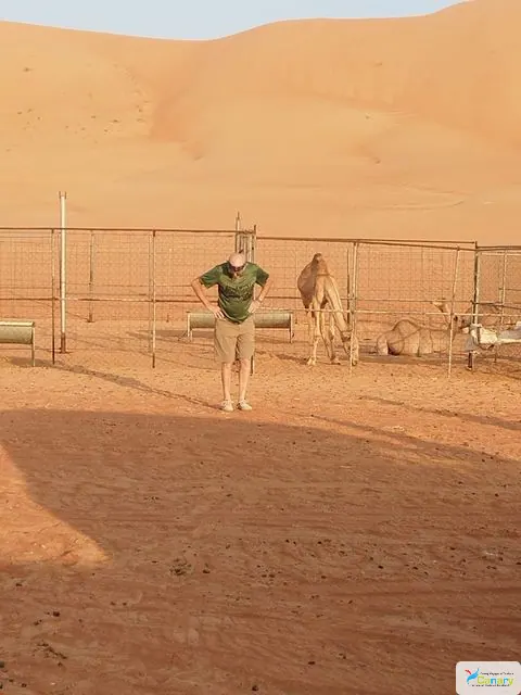 Relief de dunes dans un vaste paysage désertique, avec des personnes visibles.