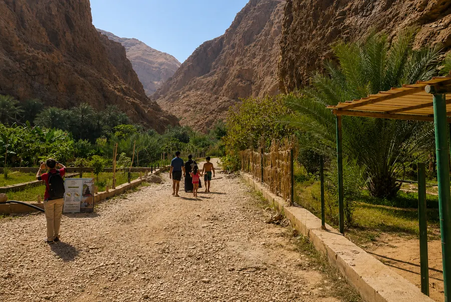 Végétation et eau dans un wadi d’Oman